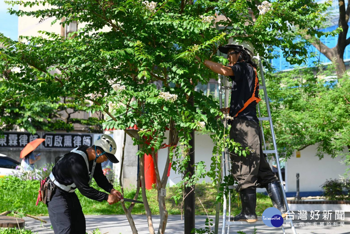 桃園市環保局已啟動超前部署，全面執行防汛整備工作。