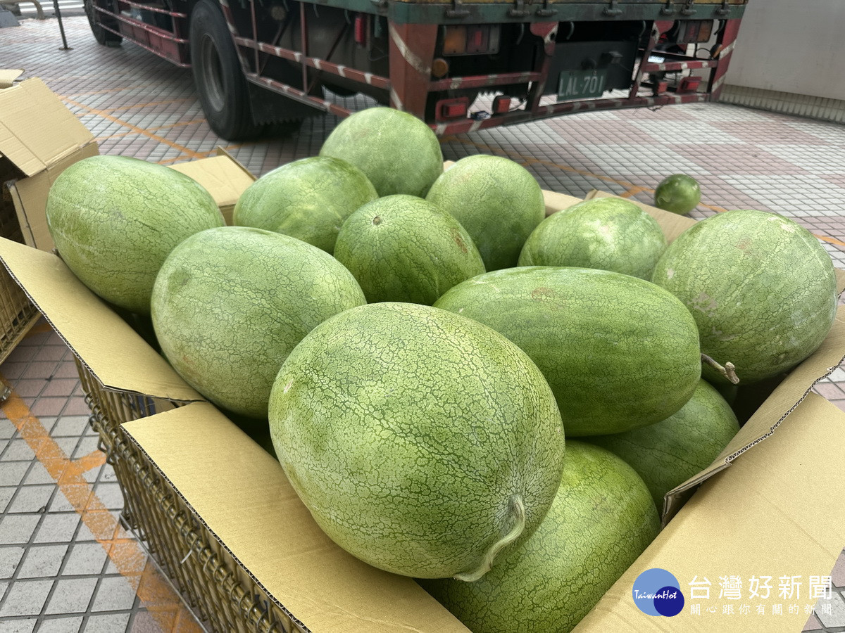 花蓮西瓜鮮甜多汁又安全。（記者扶小萍攝）