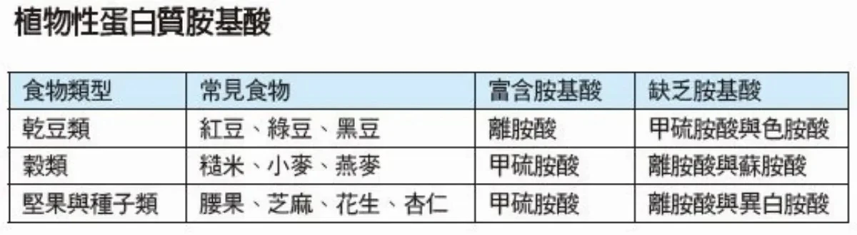吃素如何補蛋白質?