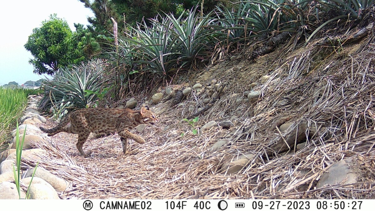 0390f9a8d9d720e1d917b4c63b5ad7c6