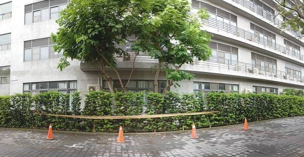 逢甲碩士生遭榕樹壓死 副校長:全校有131棵喬木「5棵列管」 308 逢甲碩士生遭榕樹壓死 副校長:全校有131棵喬木「5棵列管」 307