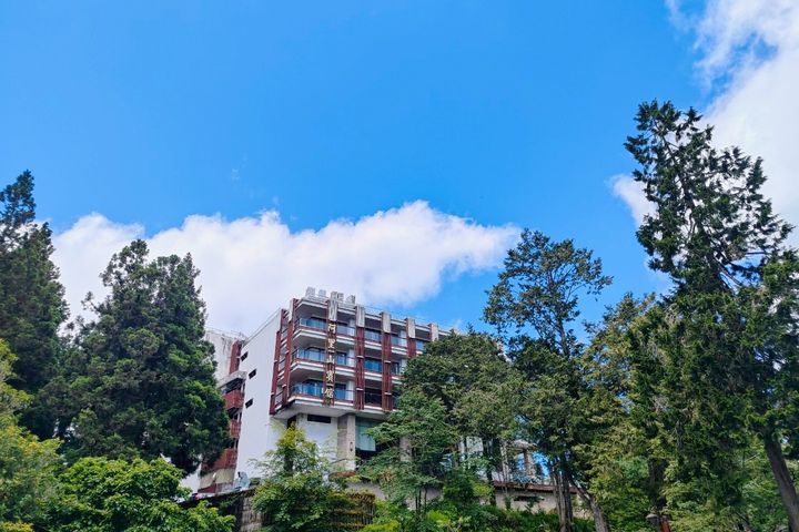 阿里山賓館推「福森號蒸汽火車x雲端國度x曙光日出」復古小火車之旅