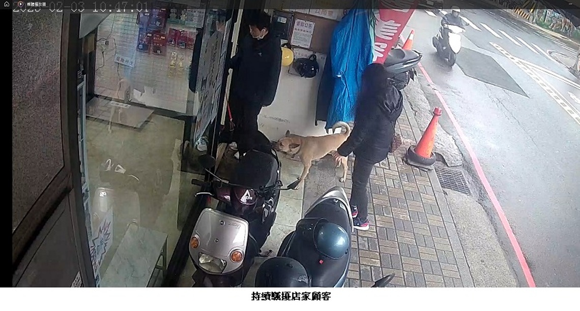店家犬隻未繫繩 新北動保處開罰15,000元