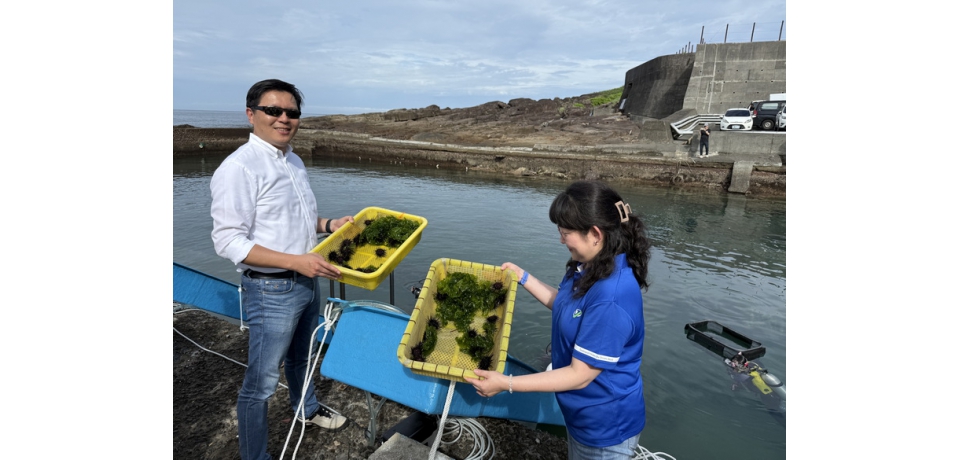 致力海洋永續 新北市府攜手產官學放流海洋生物