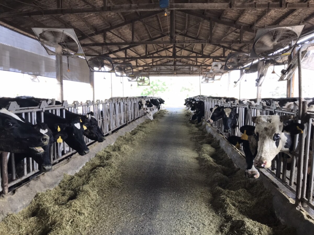 823e006d1f84376257464d331844b5dc