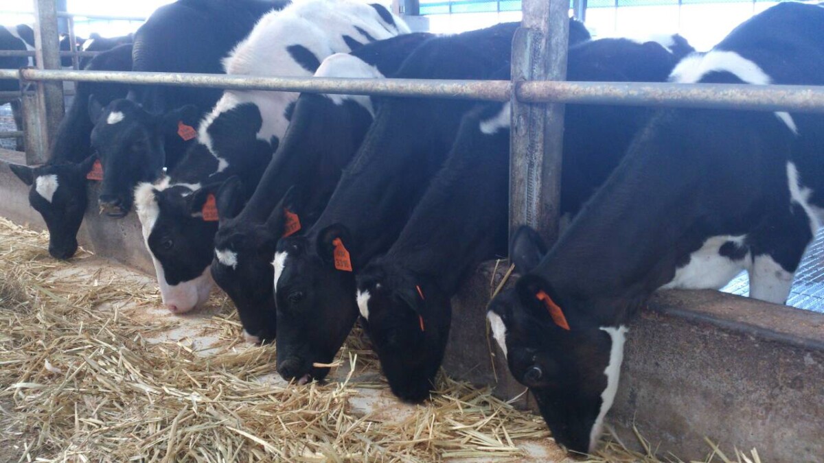 Bdfd484229bc4e016cb8a7d800765456