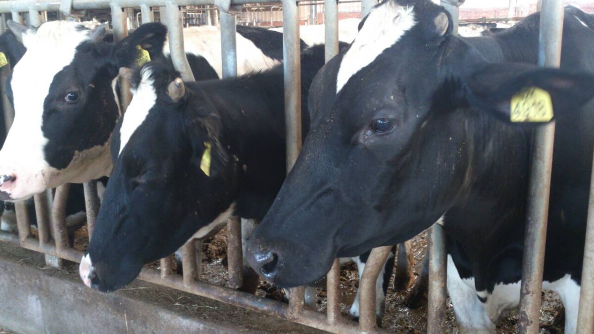 18c5f63dacb06c9bf3c9c7fa72c01857