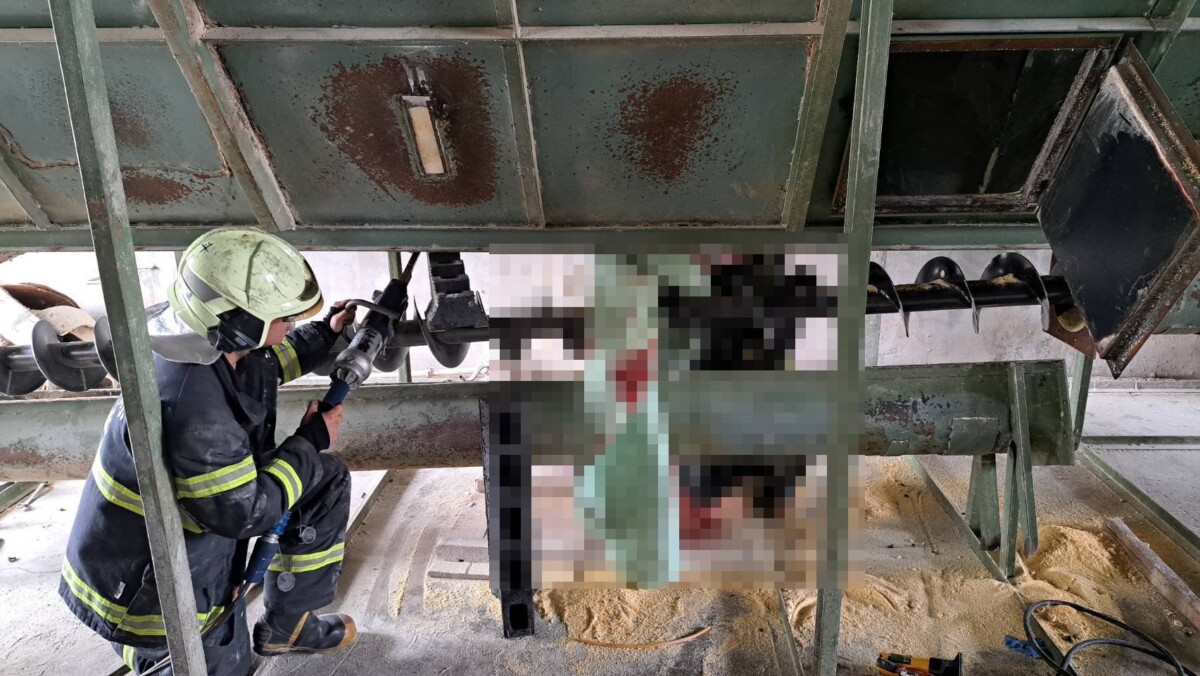 E8e2457fafc94bcd3a498ad1f5be9326