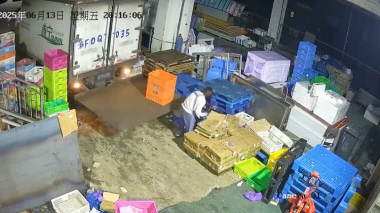 影／工安意外！貨車降尾門升降板倒車「撞後方女員工」　尖叫30秒司機完全沒發現