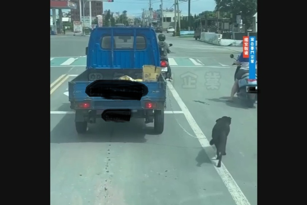 小貨車鐵鍊繫狗拖著跑 駕駛涉違兩法令同開罰 250 cnews204250618a04