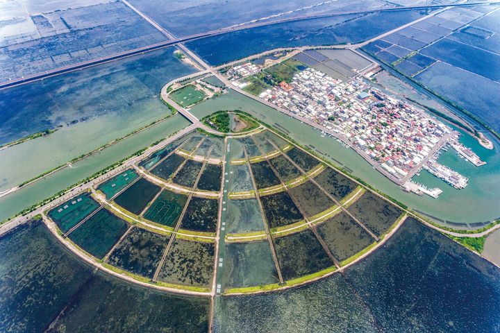 青鯤鯓扇形鹽田。 圖:雲嘉南濱海國家風景區管理處/提供
