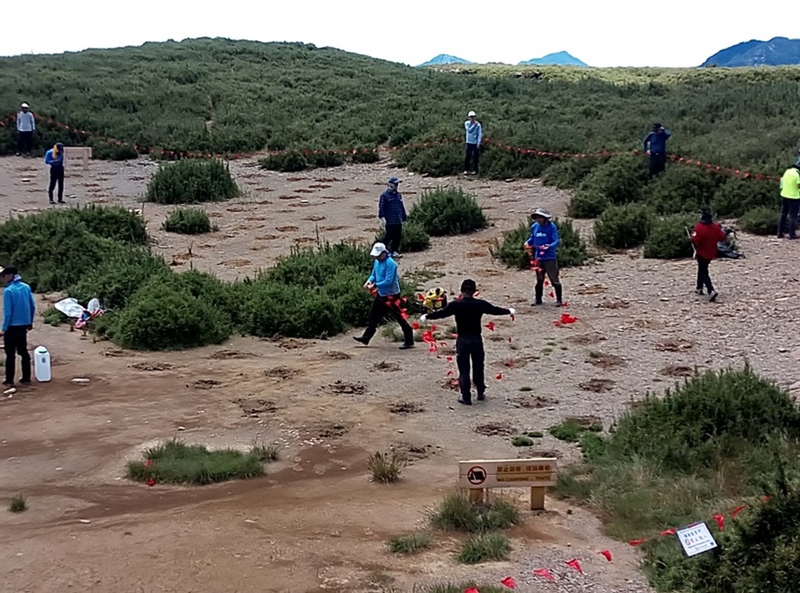 守護高山生態  太管處將於合歡北峰栽種希望苗木