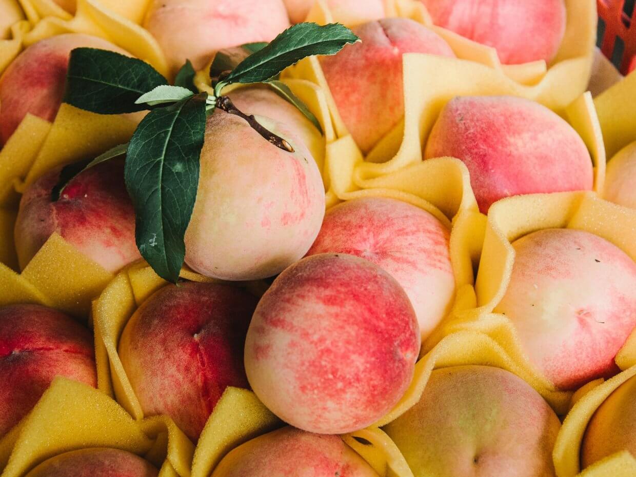 梨山水蜜桃(圖/奧丁丁市集)