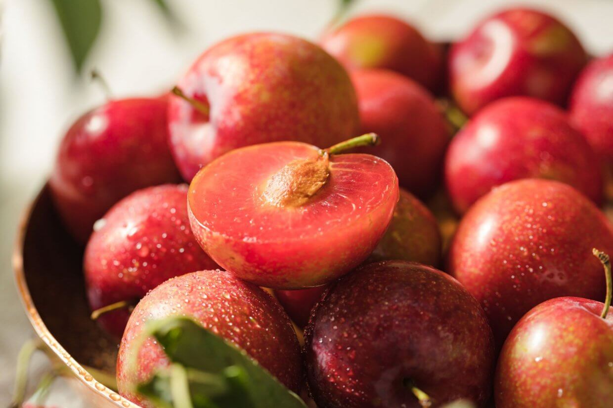 台中梨山櫻桃蜜李(圖/奧丁丁市集)