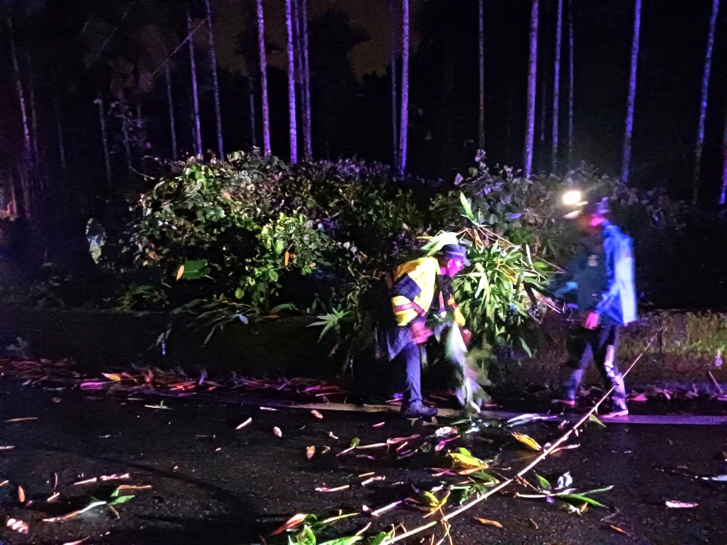 風雨夜間竹倒橫路 集集警長帶隊 警民合力冒雨排除障礙 - https://www.watchmedia01.com