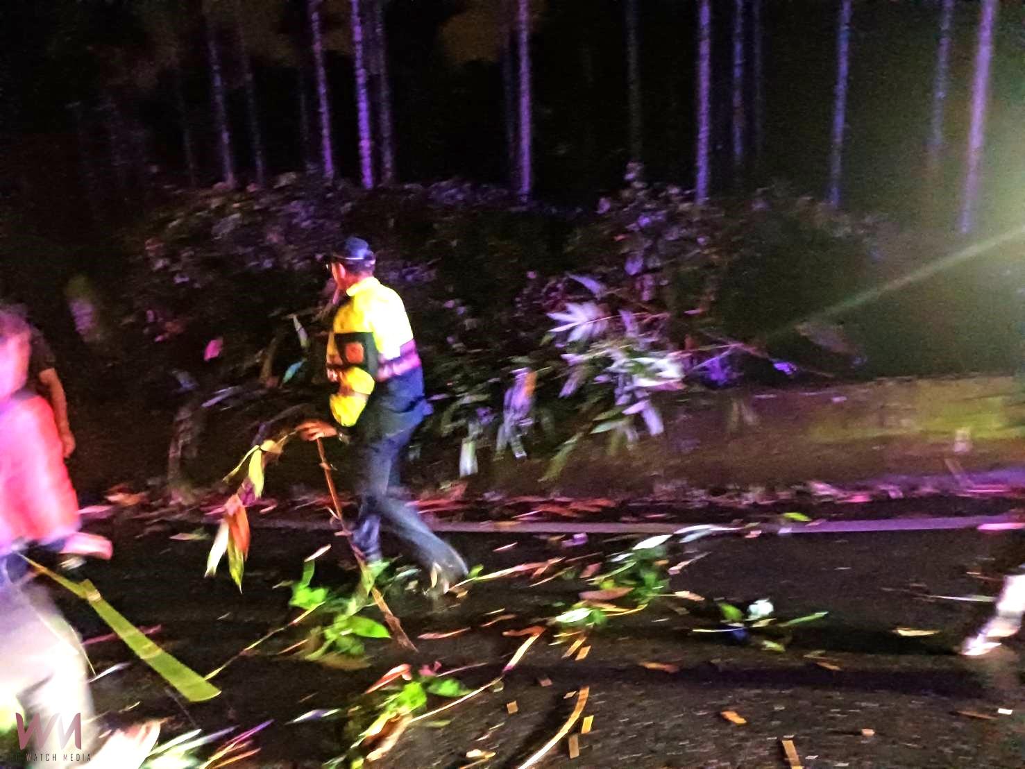 風雨夜間竹倒橫路 集集警長帶隊 警民合力冒雨排除障礙 - https://www.watchmedia01.com