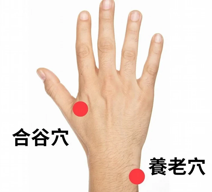 中醫教4招調整體質
