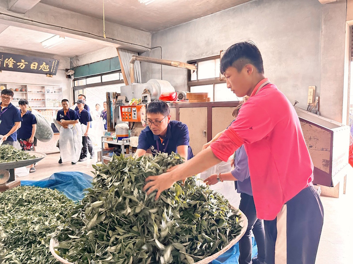 114年度嘉義縣大阿里山茶區清香烏龍茶（半球型包種茶）製茶技術競賽 隙頂茶區成夢想舞台