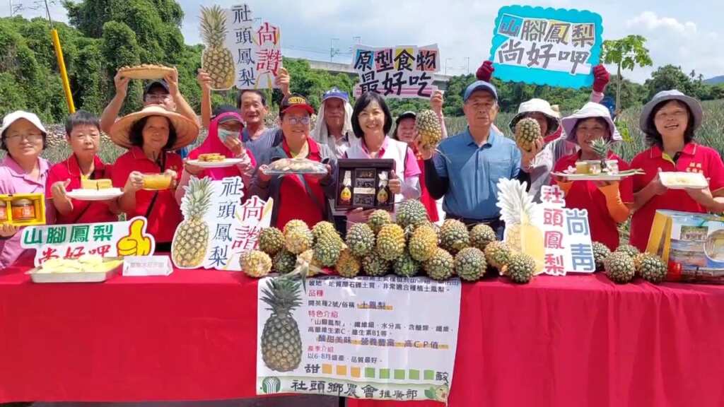 ▲社頭鄉公所與農會今日於山腳路鳳梨田舉辦「2025社頭山腳鳳梨產季推廣」活動，推廣盛產於5至6月、具酸甘甜風味的「無尾」山腳鳳梨。（記者林明佑翻攝）
