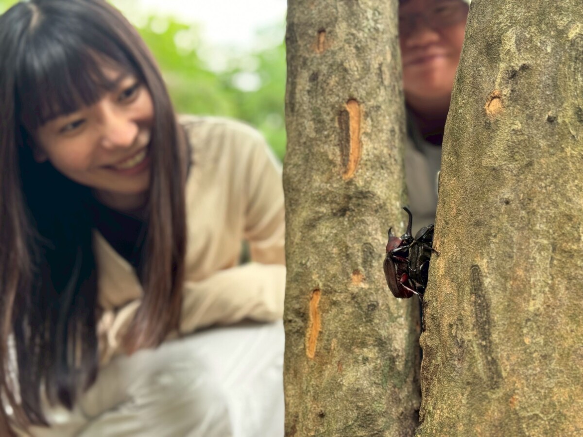 ▲地質奇觀×生態英雄！烏山頂泥火山迎來獨角仙季節大爆發。