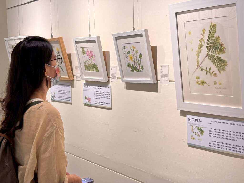 ▲「2025全球植物學藝術大展-台灣場」展覽一景。(頂新和德文教基金會提供)