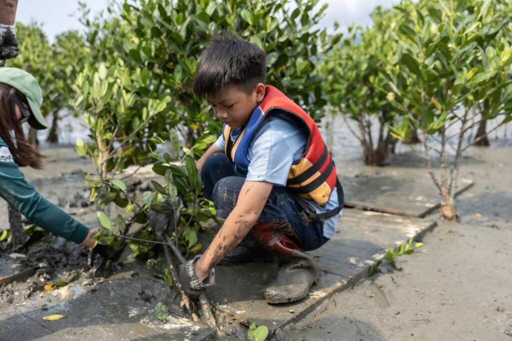 ▲八里區米倉國小學生親自體驗紅樹林幼苗清除。