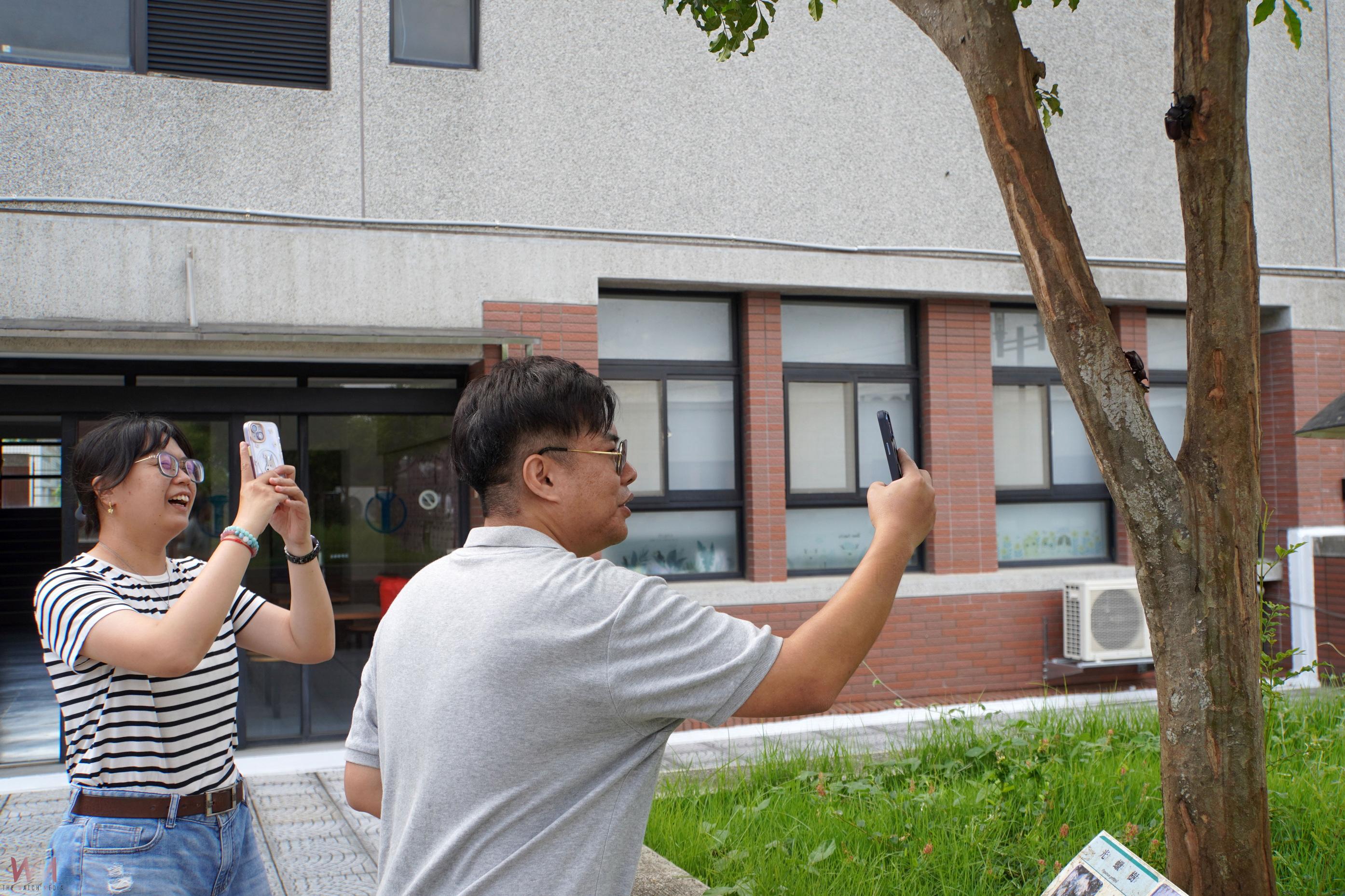 夏日盔甲勇士齊聚大葉 光蠟樹下獨角仙生態盛宴 - https://www.watchmedia01.com