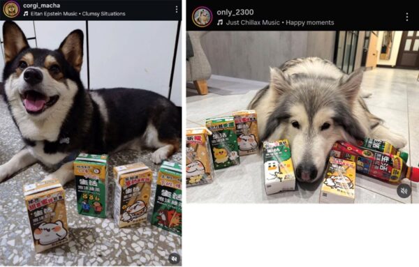 生活飲料 × TONY STAN X野生喵喵怪X PIXET PLANET 限定聯名包裝以爆笑職場日常為主題,設計太可愛讓網友狂拍狂收藏!截圖/FB:哈士奇俱樂部-pocky的跑跳人生 ; IG@only_2300