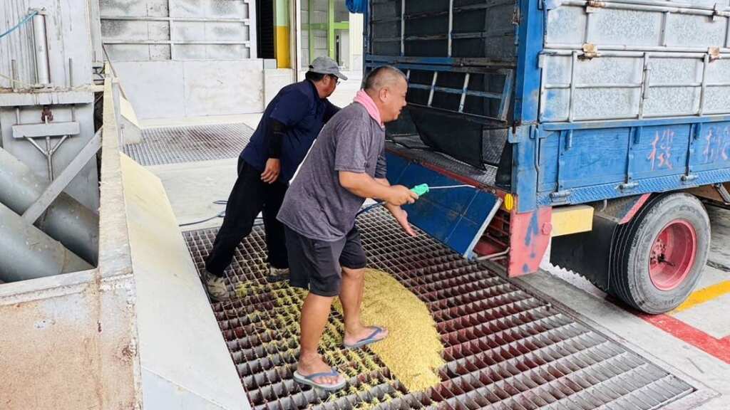 ▲農業部調整公糧政策,埤頭一期稻收購價衝1,180元,農友每分地淨利破萬,稻農大讚:真的有感!(記者林明佑翻攝)