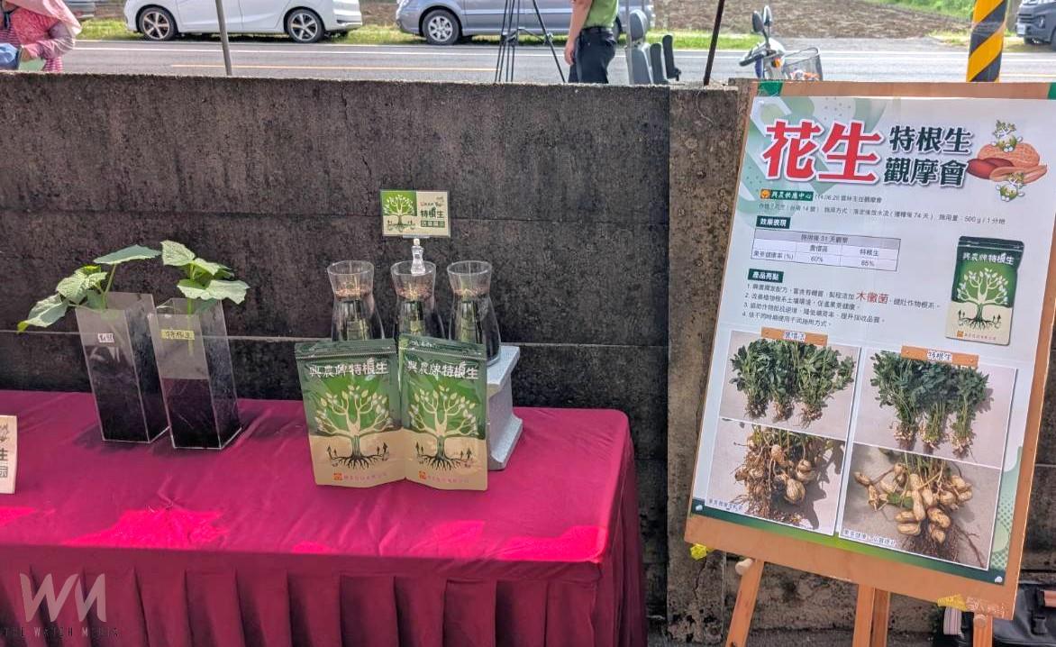 (有影片)/雲林花生觀摩會熱烈登場 木黴菌技術助攻農業永續 - https://www.watchmedia01.com