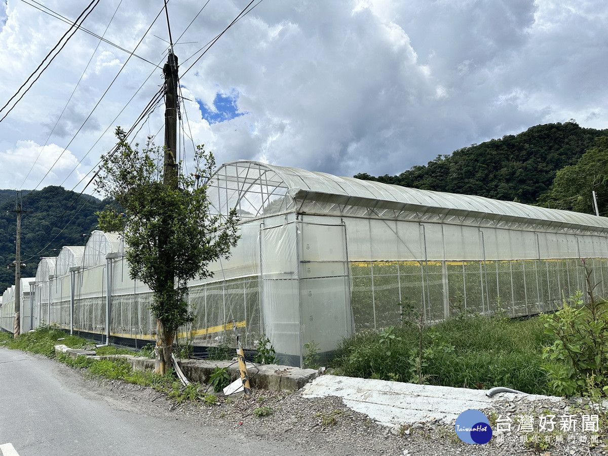 智慧化溫室種植確保作物更優化。（謝智宇提供）<br /><br /> 