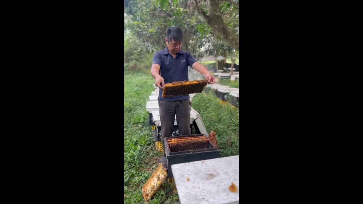 1dcec36c0a7f3ab2aed81ef8dc3babb9