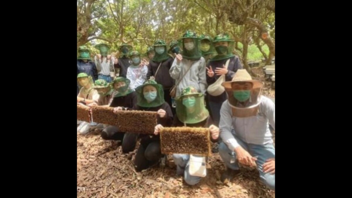 E3971ed99c97525280a240f54046327d