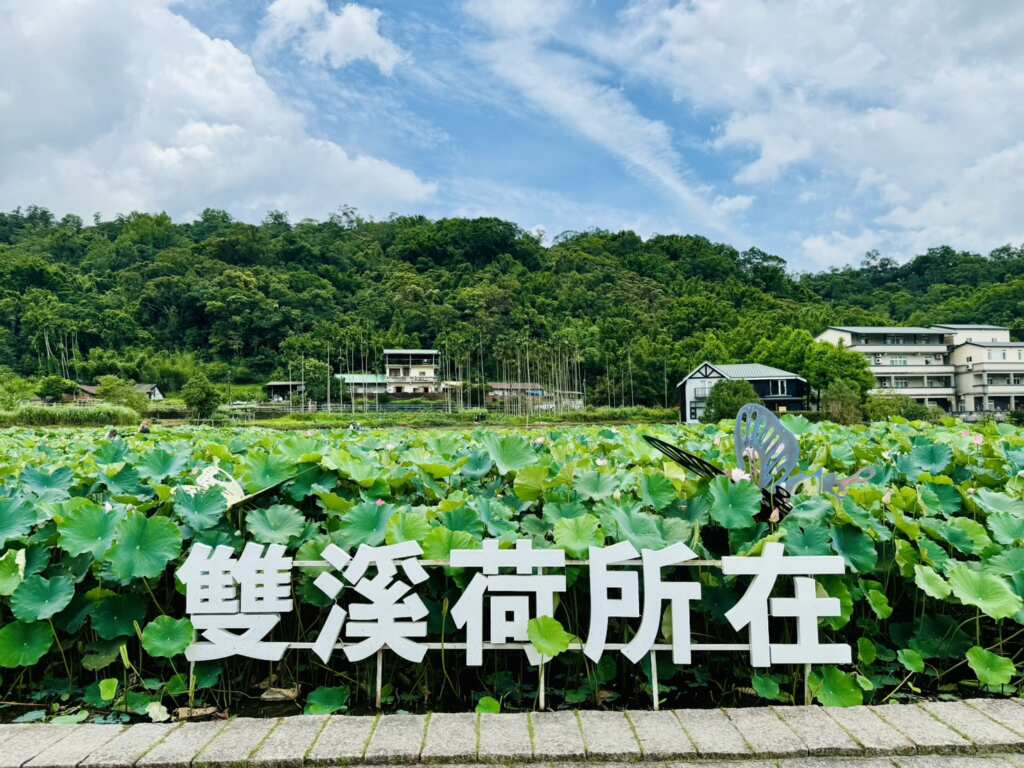 ▲「雙溪區上林里荷花田」面積廣達7公頃，好山好水的鄉村美景是遠離塵囂的好地方。