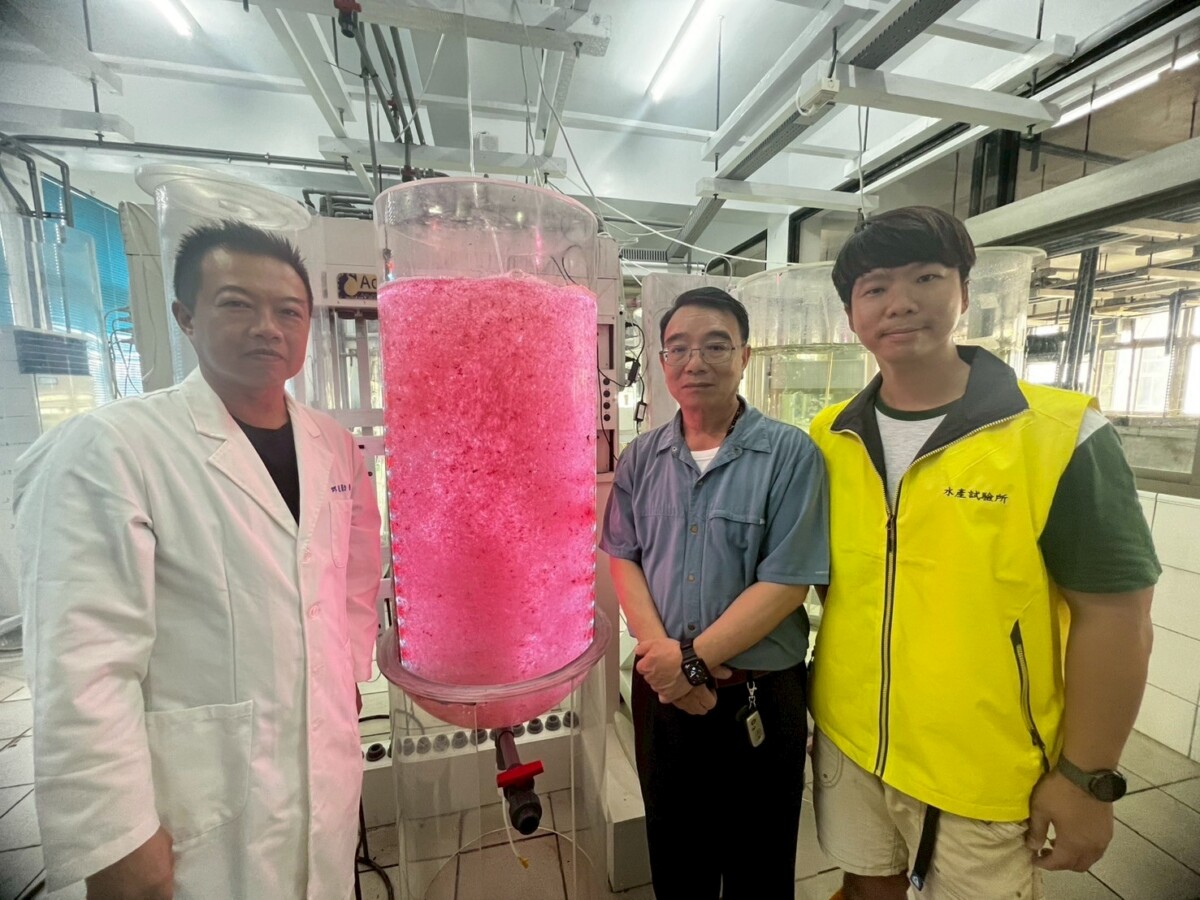 高科大研發飼料添加海門冬 減甲烷抗暖化登國際期刊