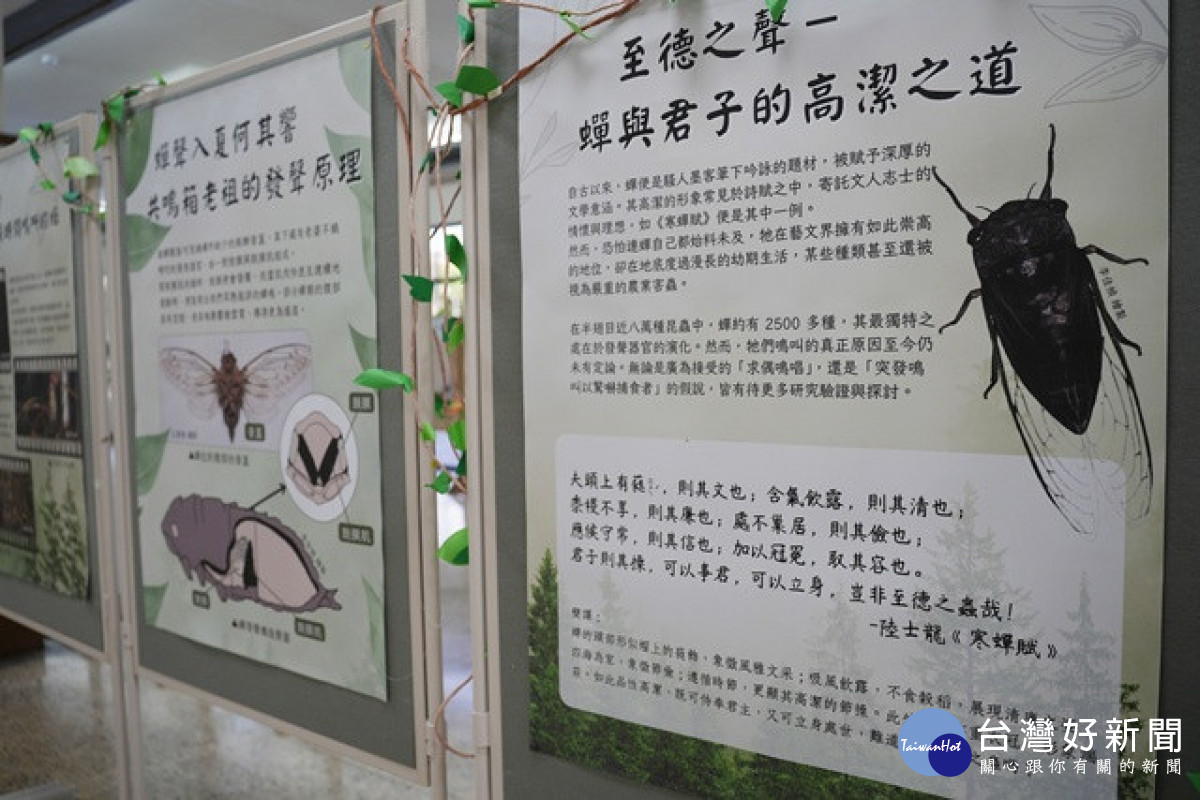興大昆蟲展。林重鎣