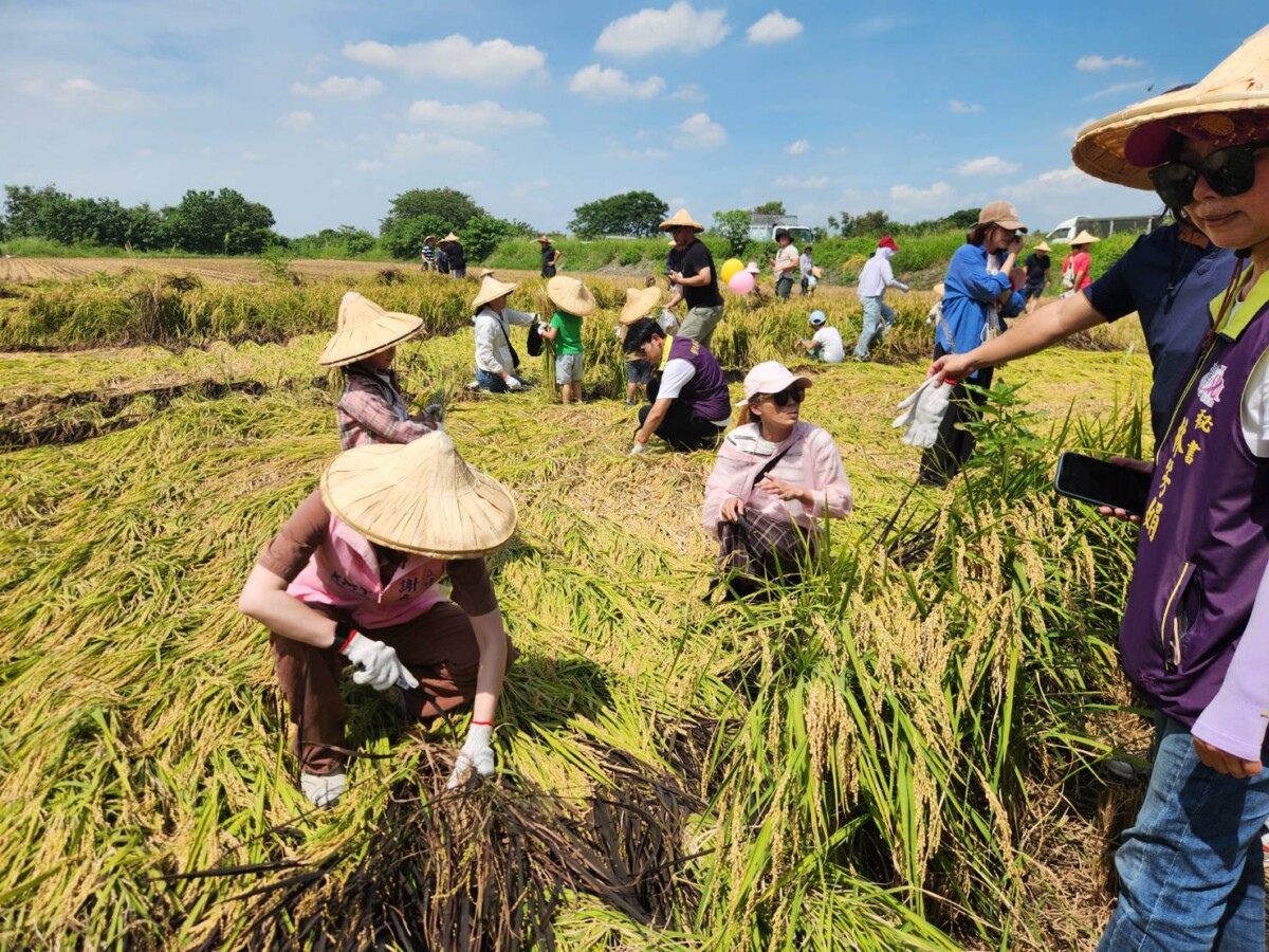 A586cbad0d88053121fd26fb96c7795d