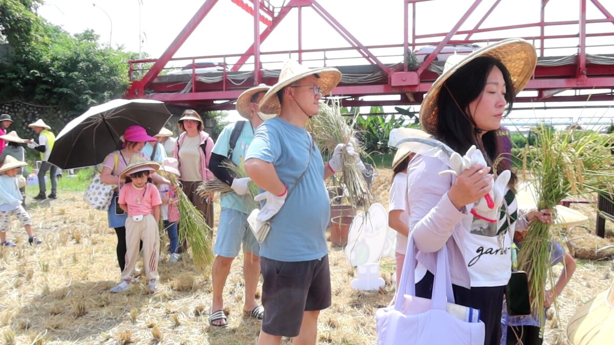 B4b5247beb7cfb940bd6d7dffde2df59