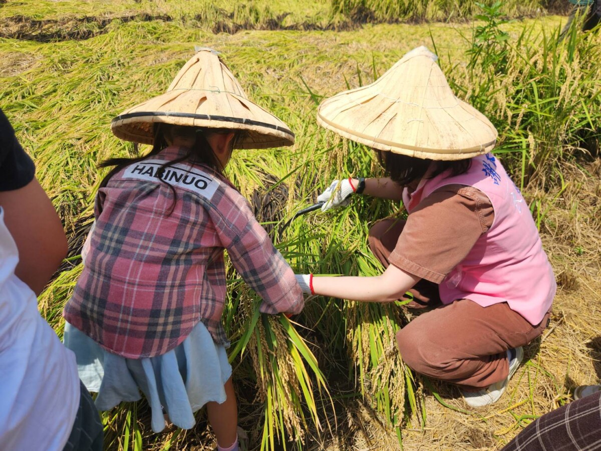 Be670e0799bbc12fea39670e6e5f8740