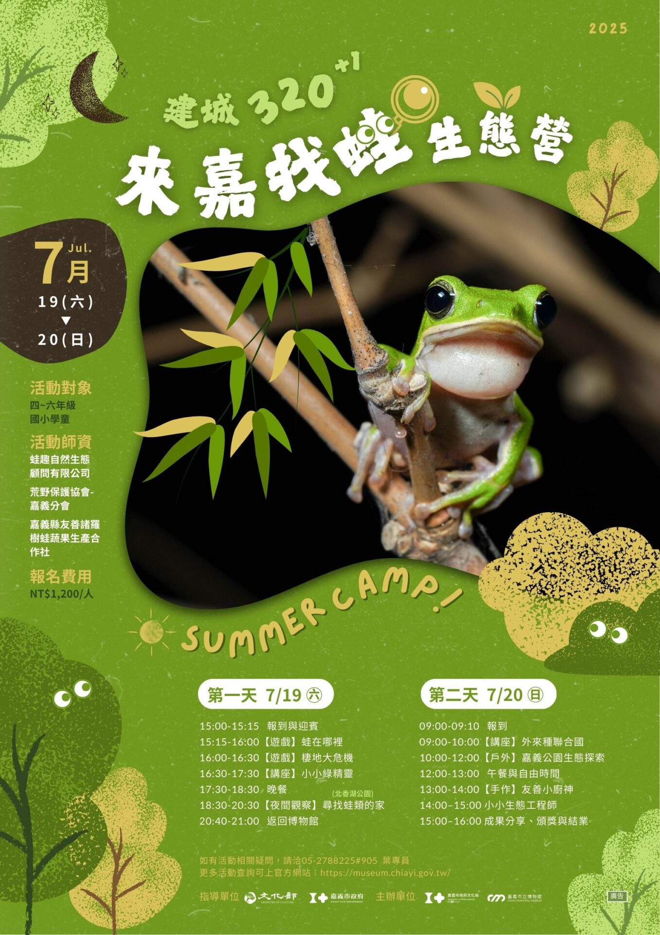 限額40人!嘉市博物館辦「來嘉找蛙」生態營 認識諸羅樹蛙魅力