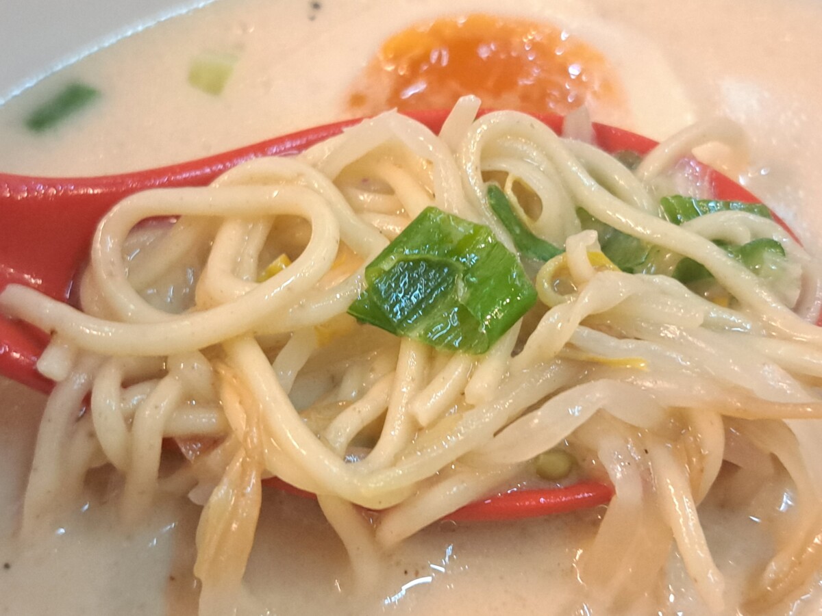 來自日本傳統的手工拉麵除了湯頭濃郁外，整個麵條口感更是Q彈入口即化。(記者郭晉嘉拍攝)。