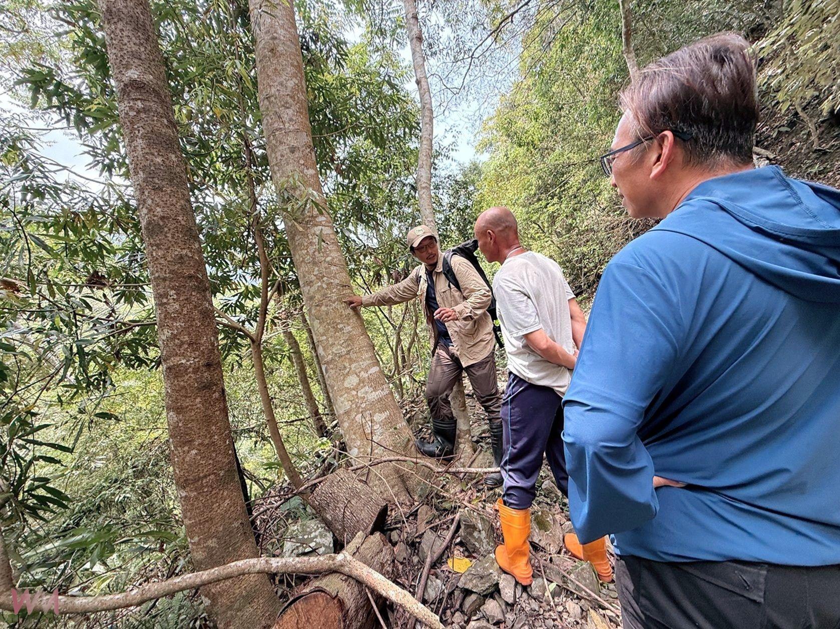 保育生態有功!黑熊現身淺山棲地 大安溪沿線4部落齊心護熊獲頒獎勵金 - https://www.watchmedia01.com