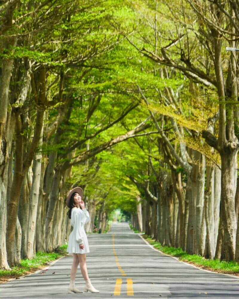 台東景點:原來鹿野還可以這樣玩!台版小奈良、特產紅烏龍讓你愛上不一樣的鹿野