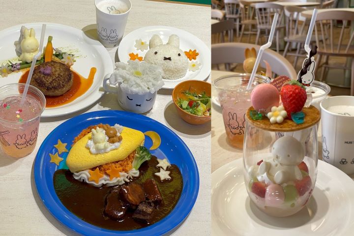豪斯登堡米飛兔新園區！橋本環奈也超愛