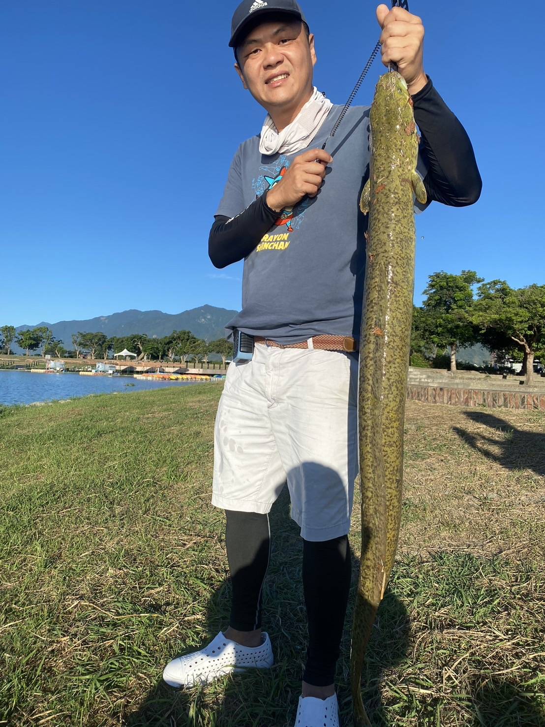 闊別數十年!烏仔魚、豆仔魚大坡池再度現蹤 見證與大海連結路徑未阻斷 - https://www.watchmedia01.com
