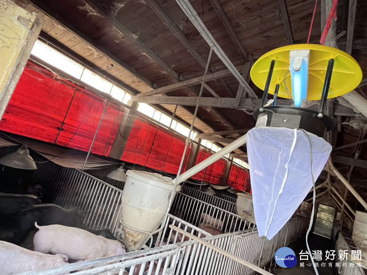 雲林縣出現今年首例日本腦炎病例，衛生局已於周邊豬舍懸掛誘蚊燈及加強民眾衛教宣導／翻攝照片