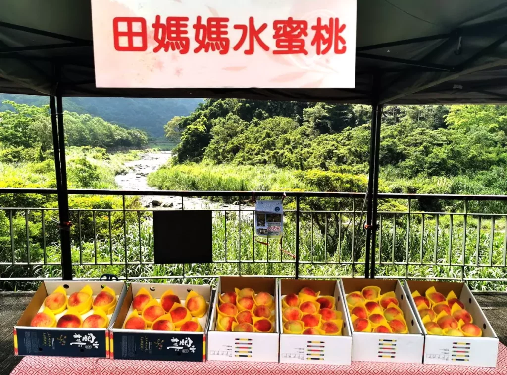 現場展示販售