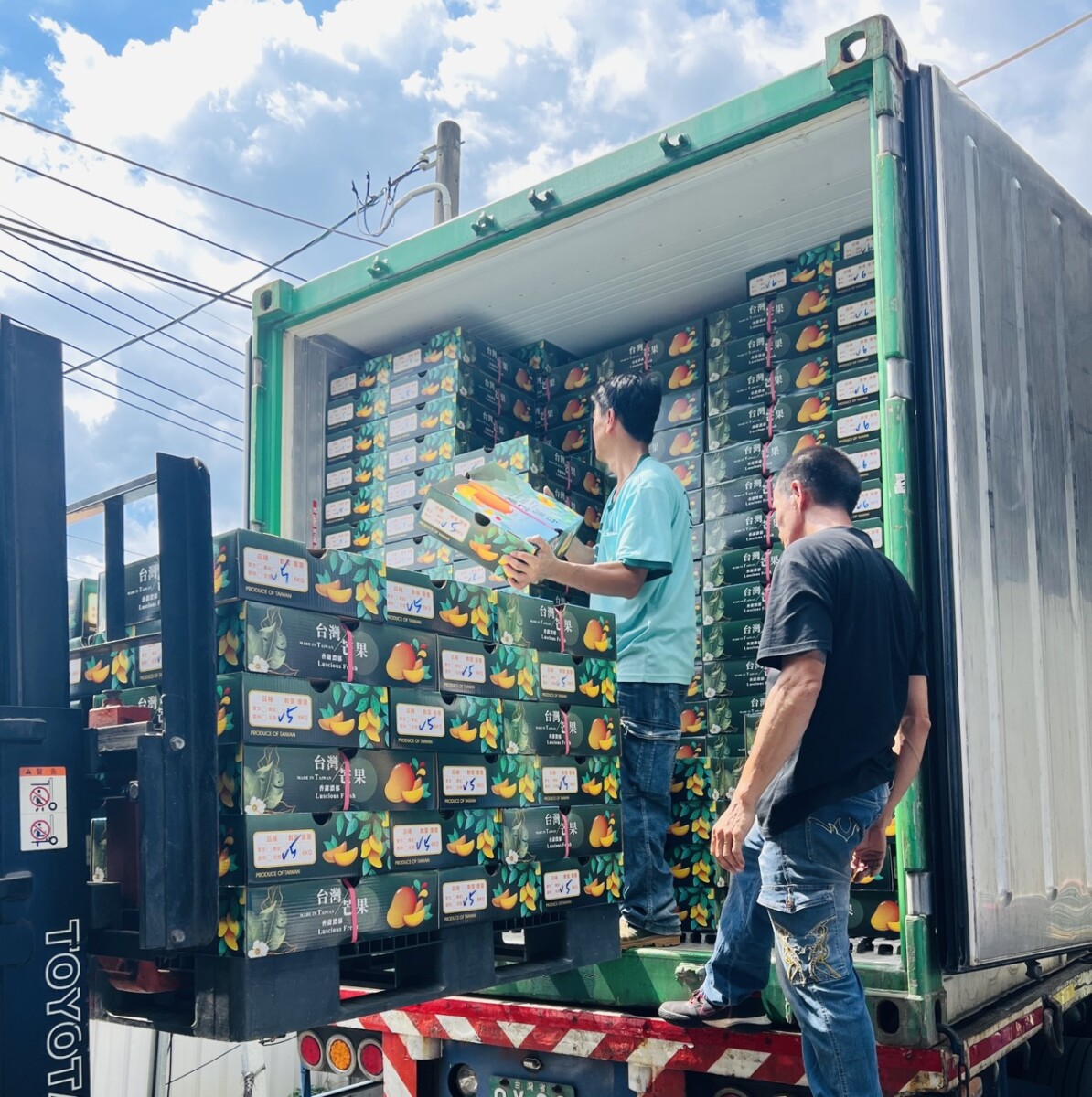 ▲金煌芒果外銷新加坡,六龜區農會裝貨櫃啟航。