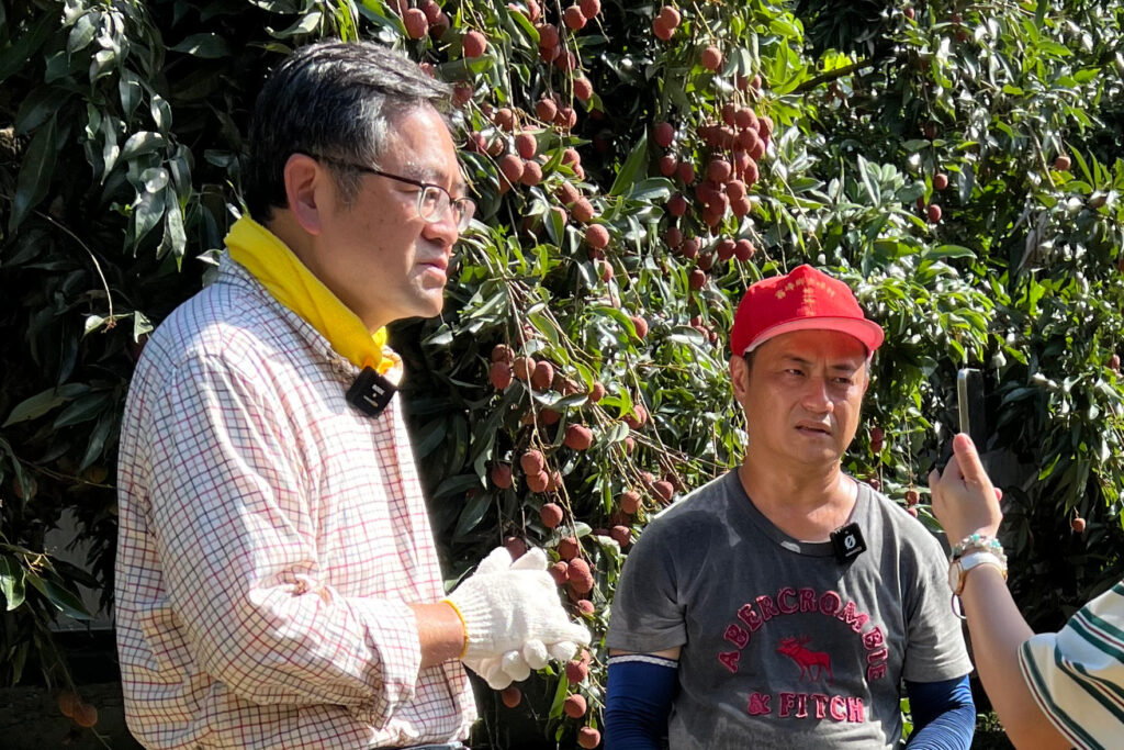 霧農大叔教如何吃荔枝不上火  瀏覽人次3天破200萬