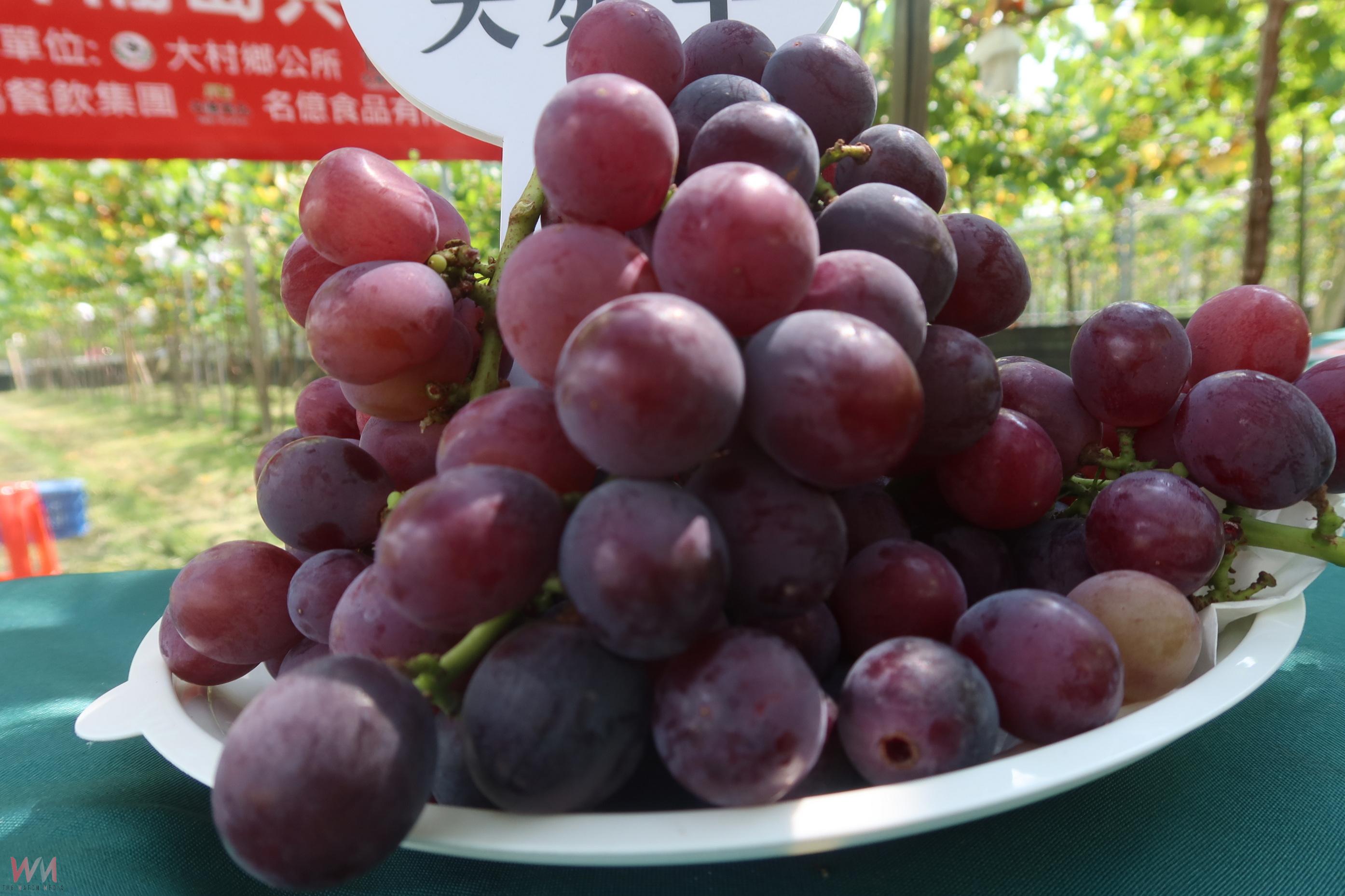(有影片)/大村葡萄遭氣候重創 縣府媒合企業推出飲品搶救果農銷路 - https://www.watchmedia01.com